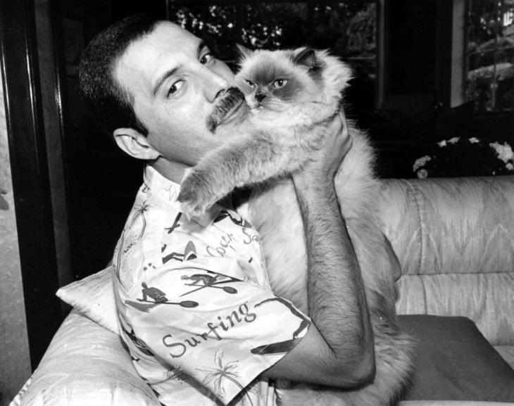 Famous Figures With Their Cats Freddy Mercury 