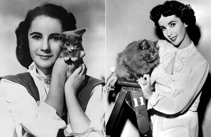 Famous Figures With Their Cats Elizabeth Taylor