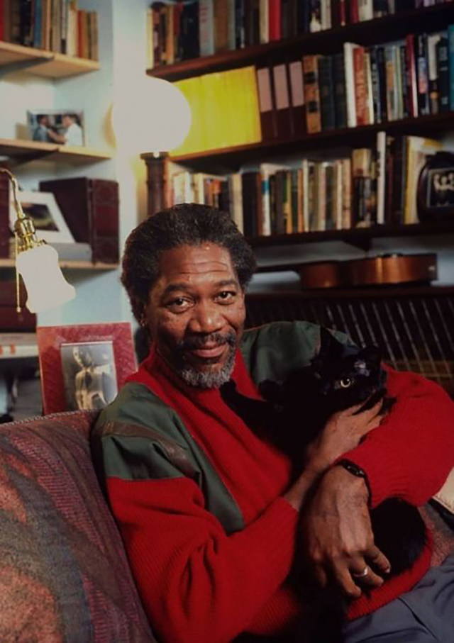 Famous Figures With Their Cats  Morgan Freeman