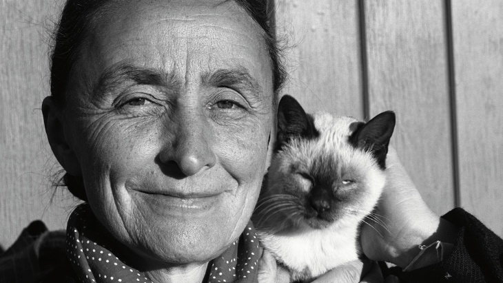 Famous Figures With Their Cats Georgia O’Keeffe