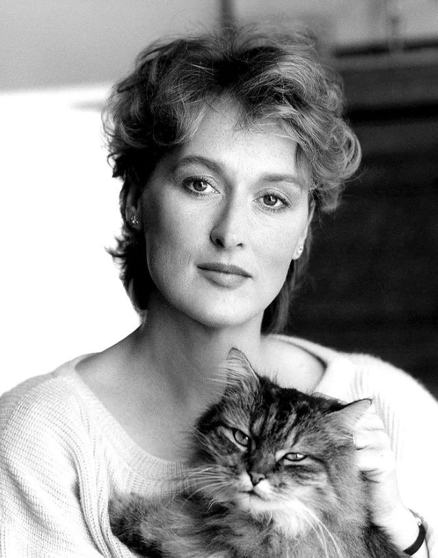 Famous Figures With Their Cats  Meryl Streep