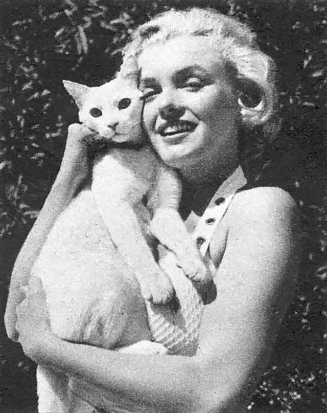 Famous Figures With Their Cats Marilyn Monroe with her cat Mitsou
