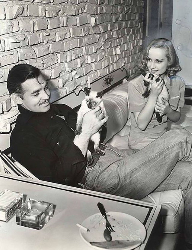 Famous Figures With Their Cats Clarke Gable