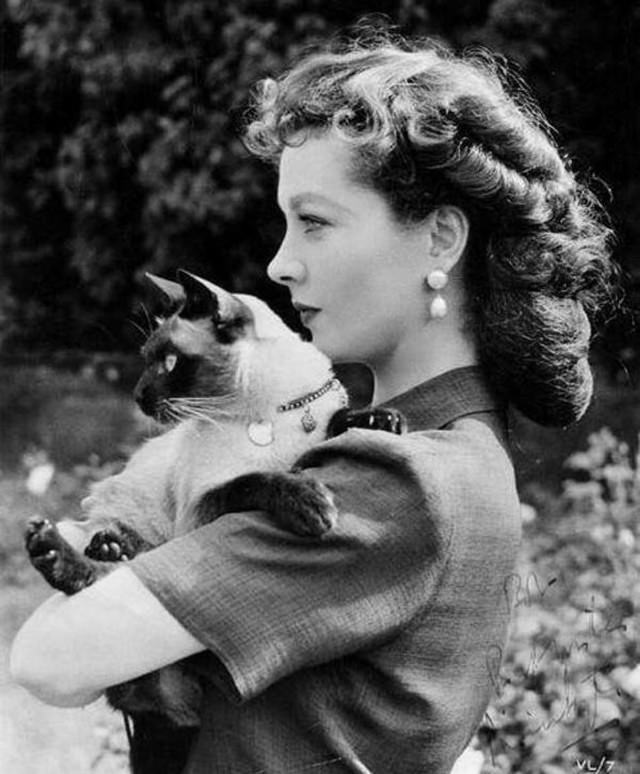 Famous Figures With Their Cats Vivien Leigh