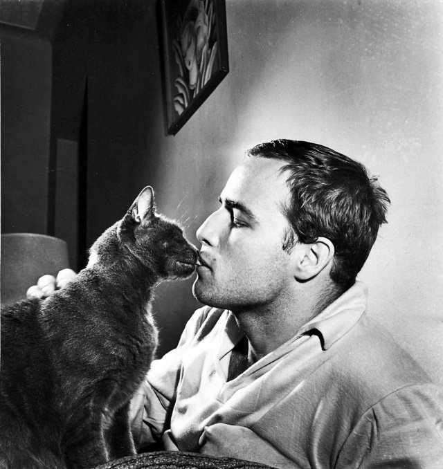 Famous Figures With Their Cats Marlon Brando