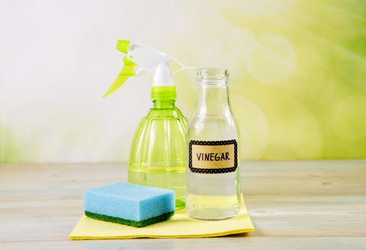 Vinegar DIY Air Freshener DIY Air Freshener