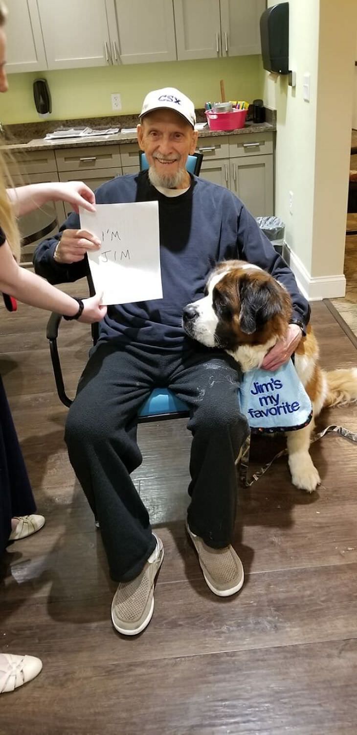 Adorable and Hilarious Dogs Spotted Out and About assisted living