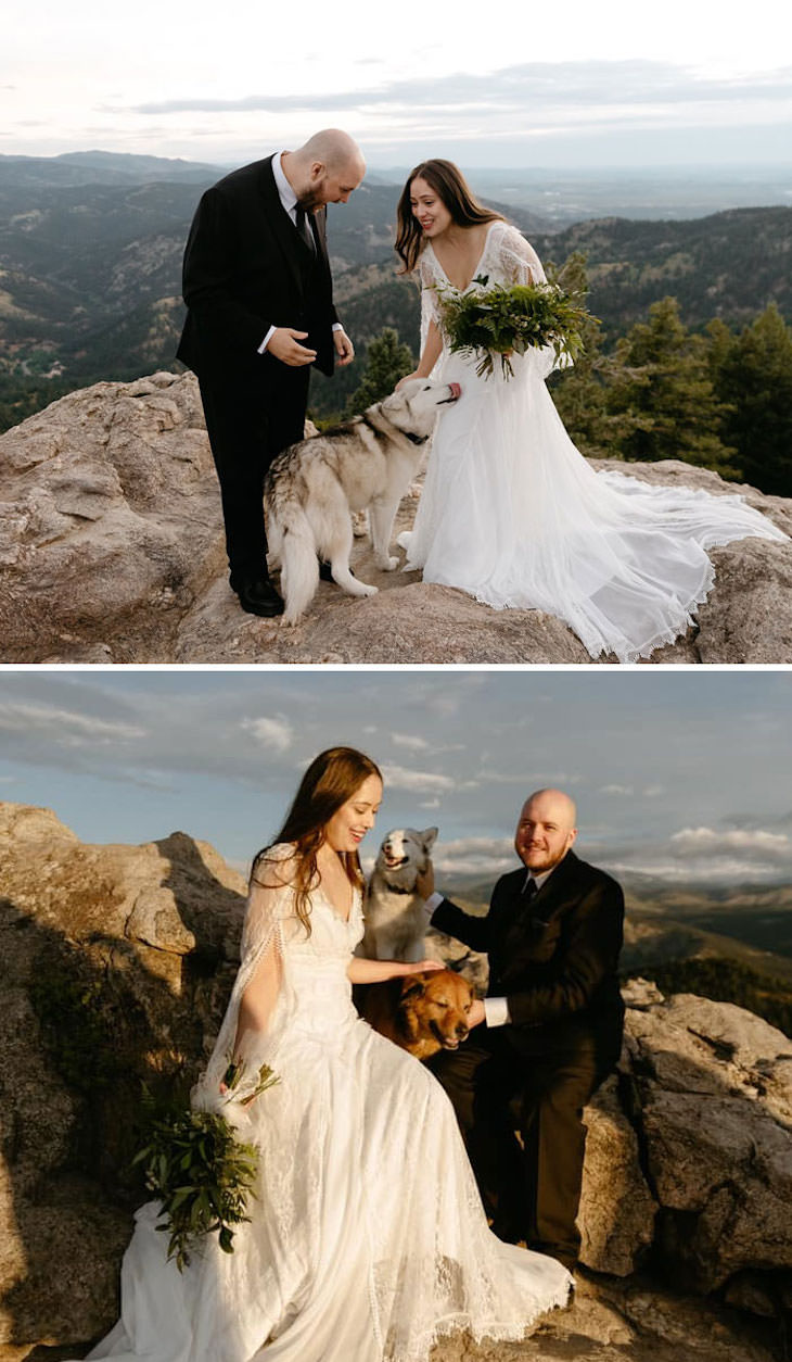 Adorable and Hilarious Dogs Spotted Out and About wedding photo