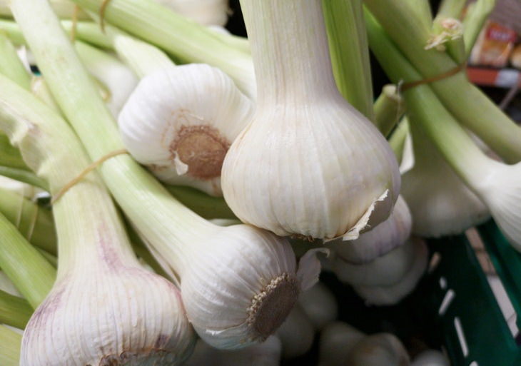 Blood Clot Prevention garlic