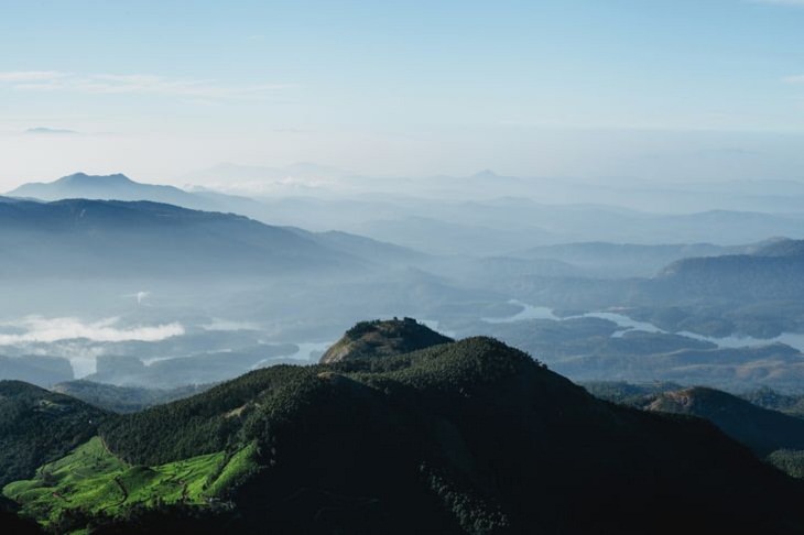 India in Pictures, Munnar