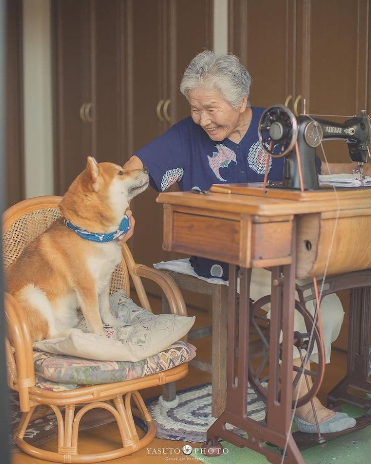 Grandma and Her Shiba Inu sewing machine