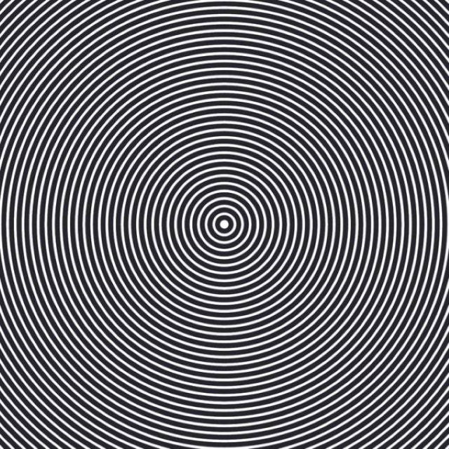 Optical Illusions concentric circles