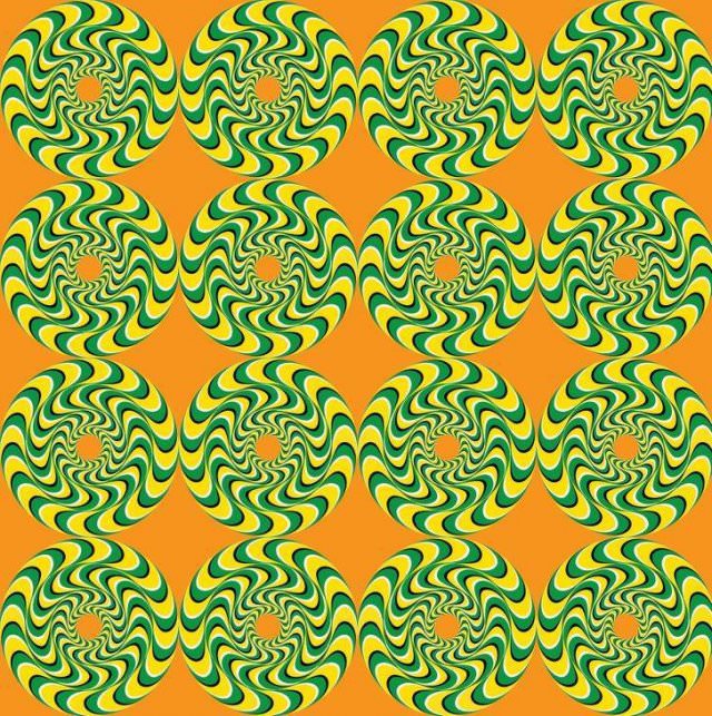 Optical Illusions That Move Confuse You