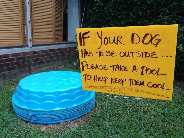 Heatwave sign for doggie pools