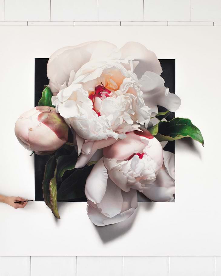 Lovely Hyperrealistic Flower Drawings by CJ Harvey Peony Peeping