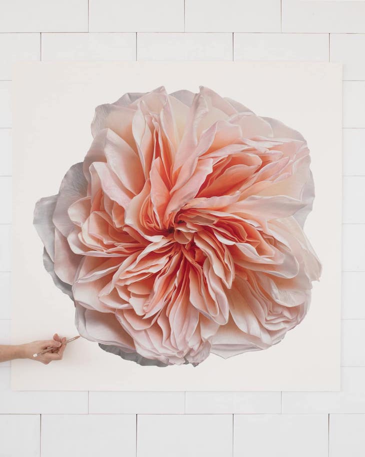 Lovely Hyperrealistic Flower Drawings by CJ Harvey Light Peach Rose