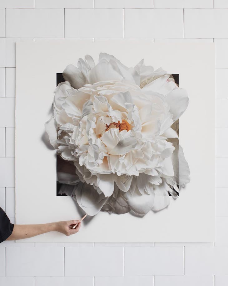 Lovely Hyperrealistic Flower Drawings by CJ Harvey White Peeping Peony