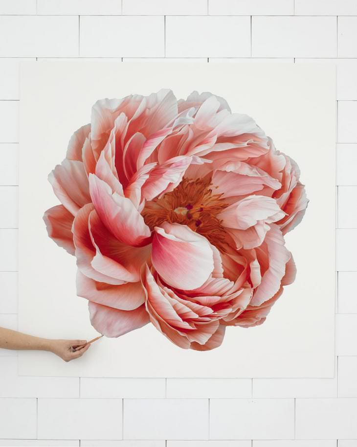 Lovely Hyperrealistic Flower Drawings by CJ Harvey Pink Fluffy Peony