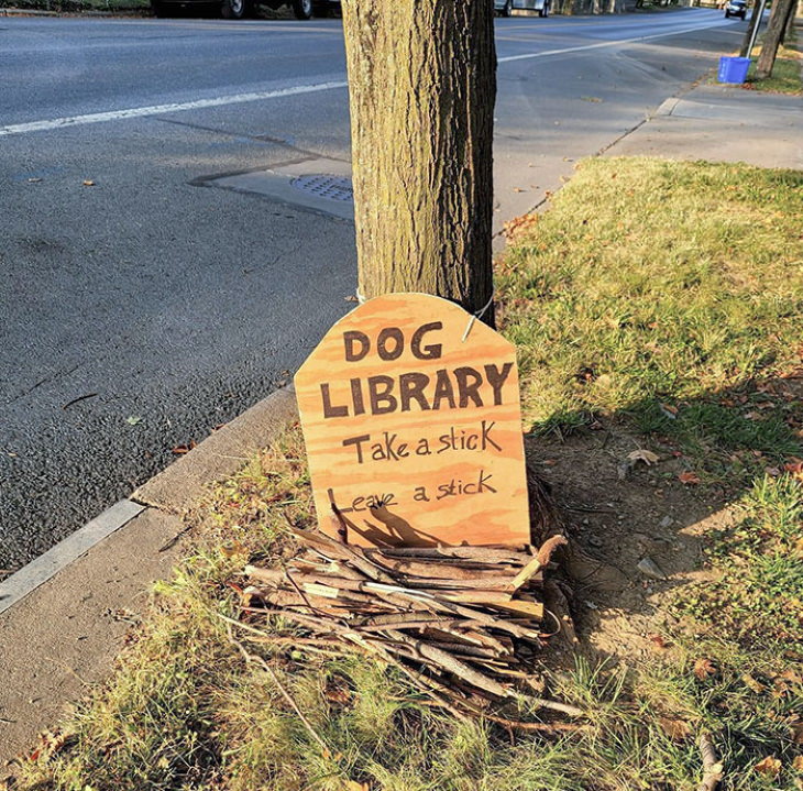 Funny Signs dog library