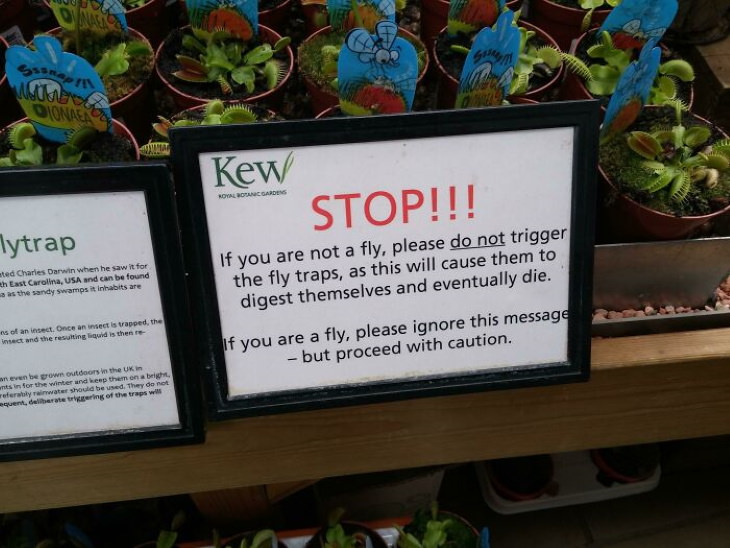 Funny Signs fly trap sign