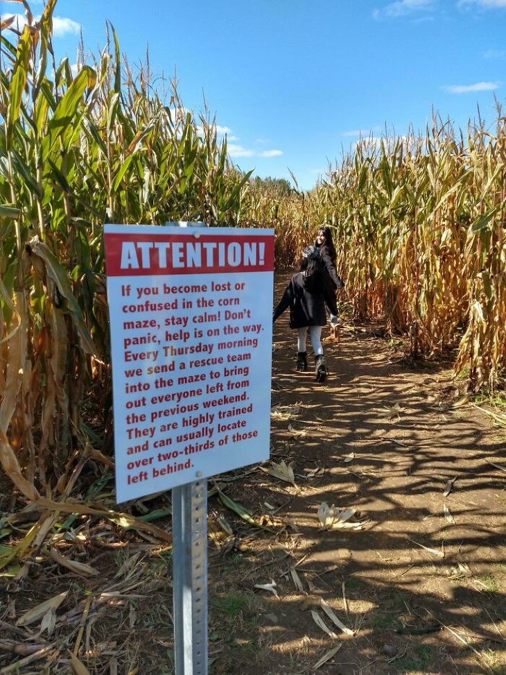 Funny Signs corn maze sign