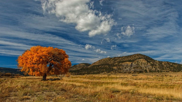 Fall Foliage Destinations in the US Taos, New Mexico