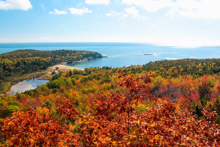 Fall Foliage Destinations in the US Acadia National Park, Maine
