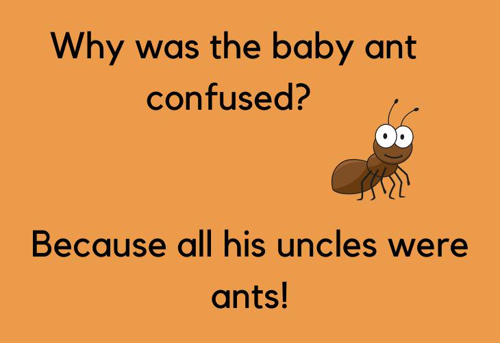 Hilariously Bad Jokes, ant