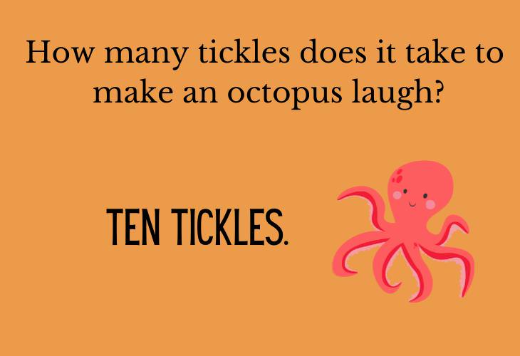 Hilariously Bad Jokes, octopus