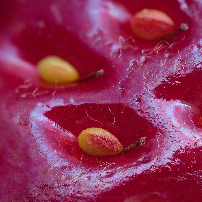 The surface of a strawberry
