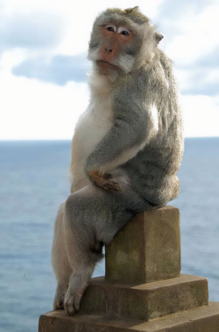 Monkey Pose Standing fun-slm | Great fun! Funy monkey pose! … | Flickr