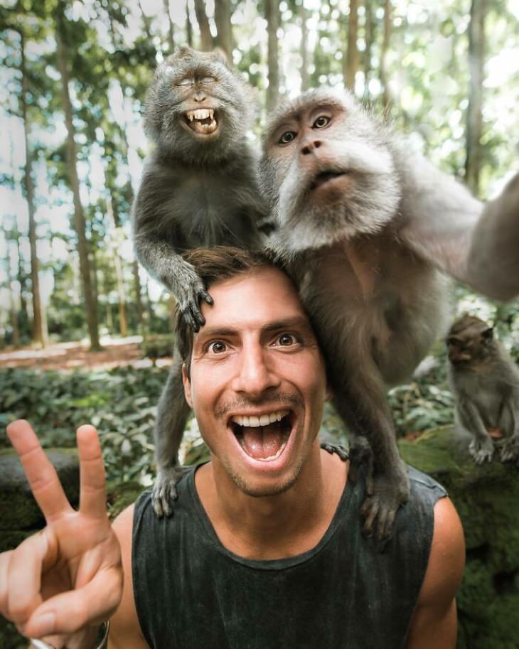 Funny Monkeys and Apes selfie with monkeys
