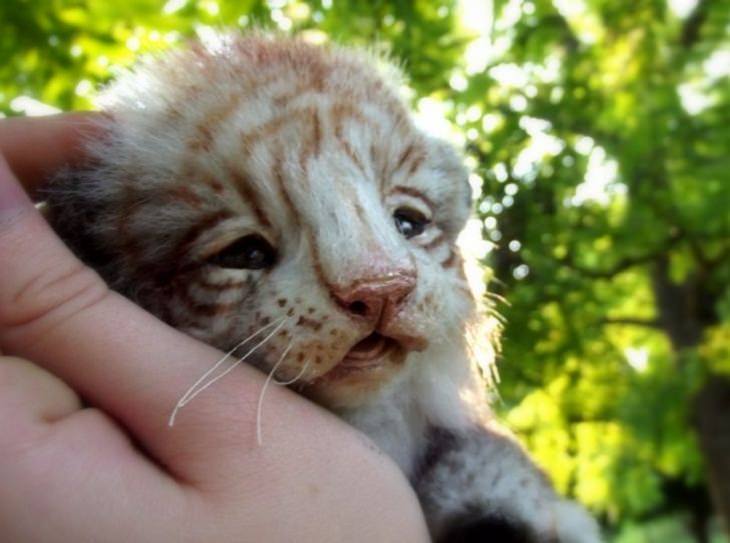 Cute Baby Animal Sculptures, Siberian tiger cub