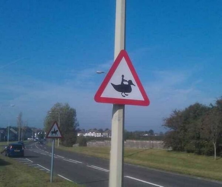 Funny Signs duck riding