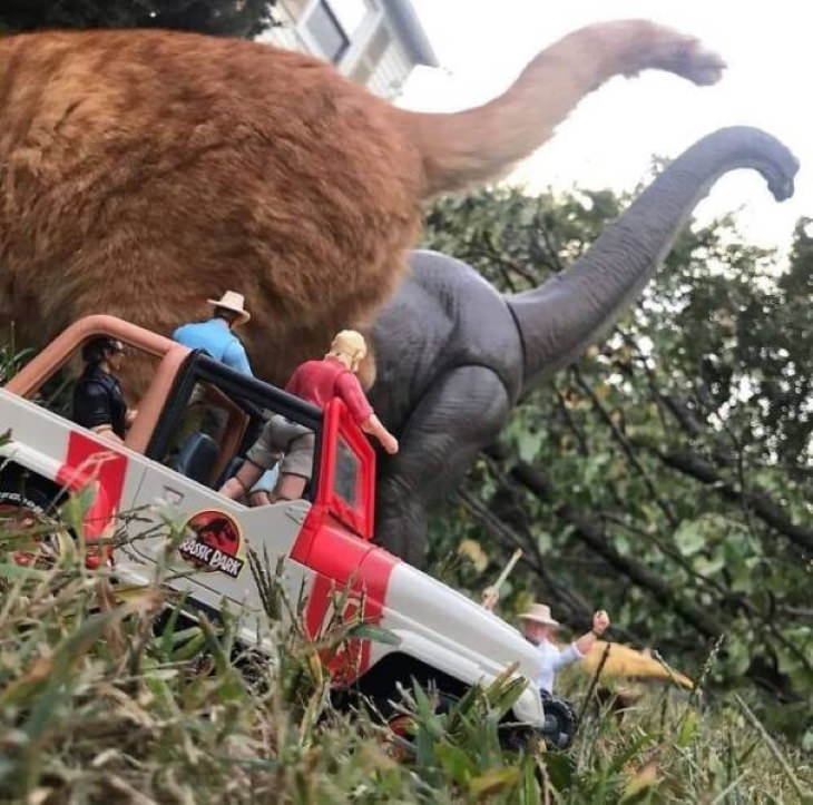 Funny Animals cattail and brontosaurus