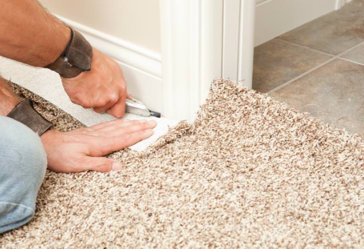 Things in the Living Room You’re Not Cleaning, Wall-to-Wall Carpet