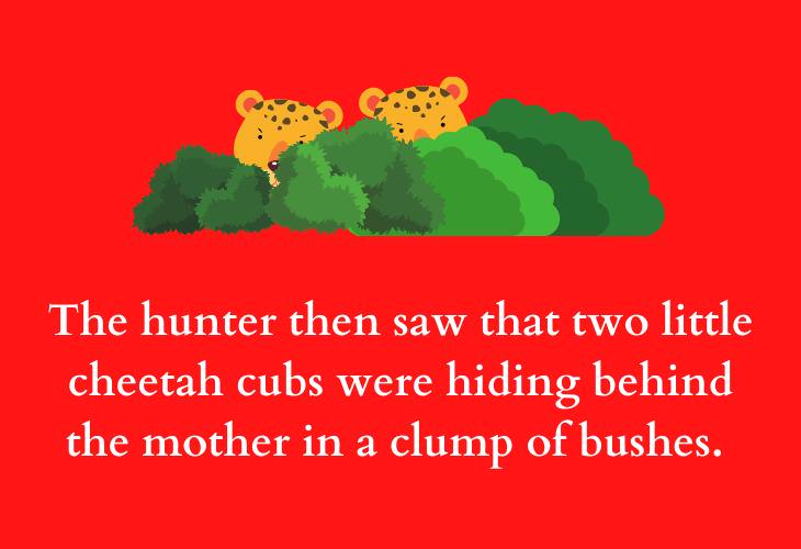 Inspiring African Folktales, cubs