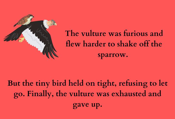 Inspiring African Folktales, sparrow, vulture