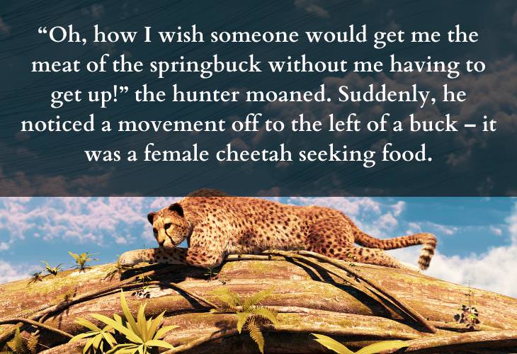 Inspiring African Folktales, cheetah