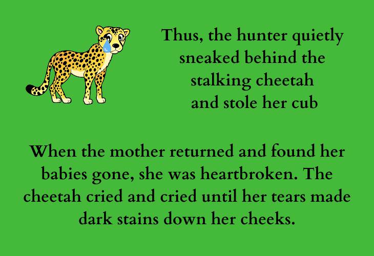 Inspiring African Folktales, mother cheetah