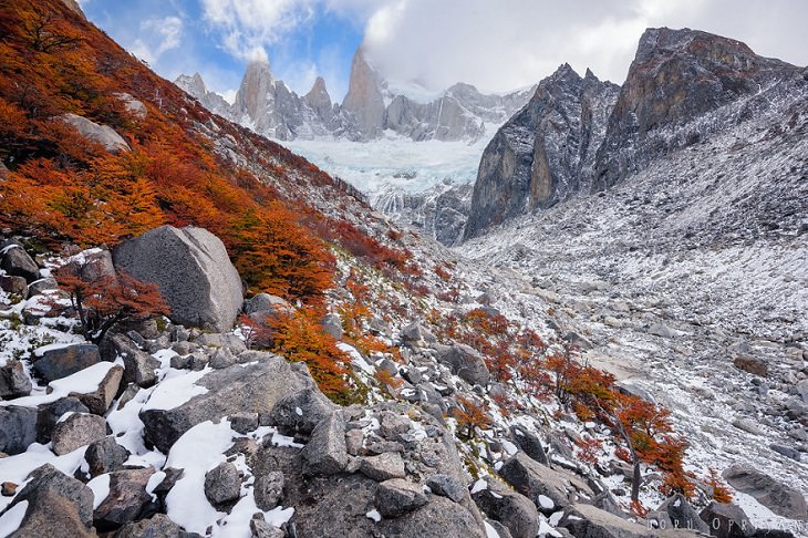 fall in patagonia