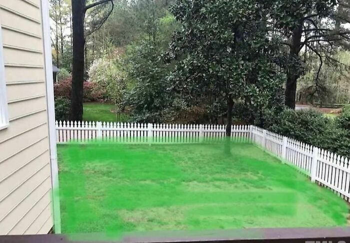 home seller fails colored grass