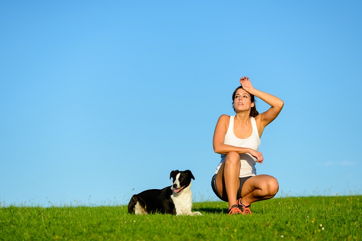 Running With Your Dog, weather conditions