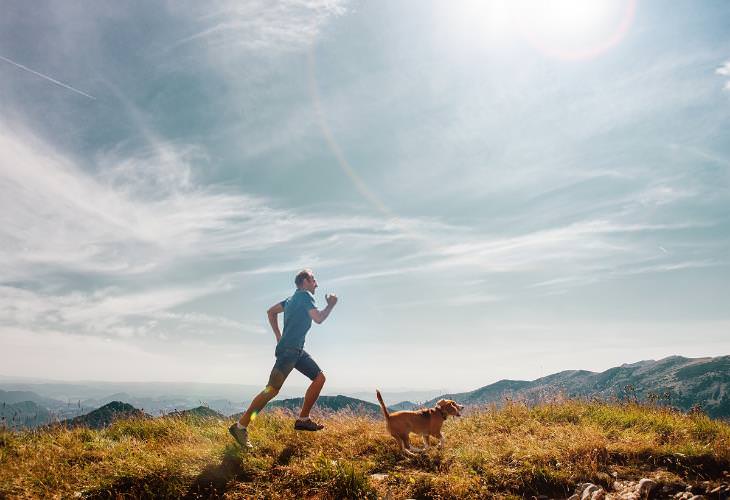 Running With Your Dog,  route