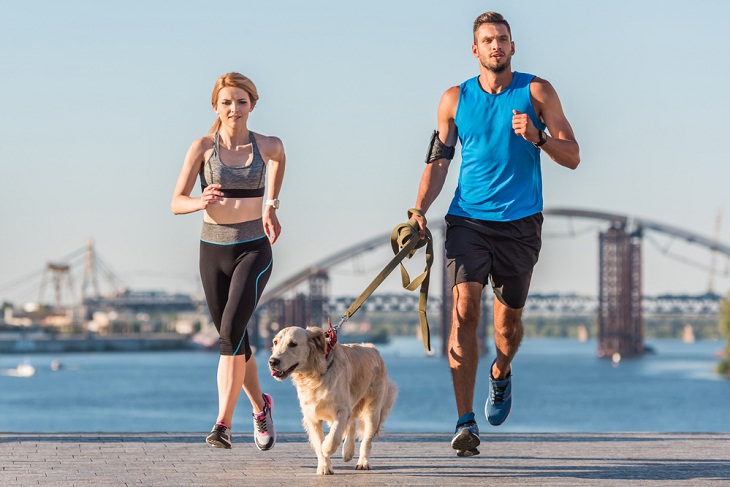 Running With Your Dog, pre-run checklist