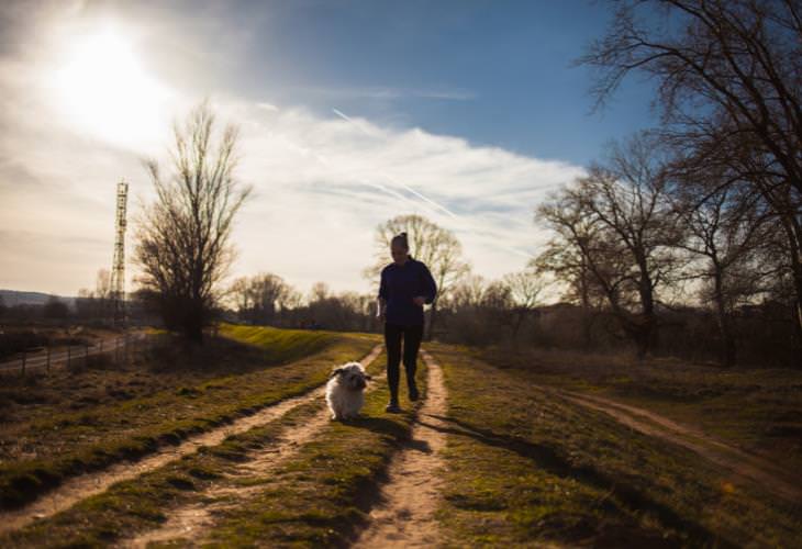 Running With Your Dog, Walk 