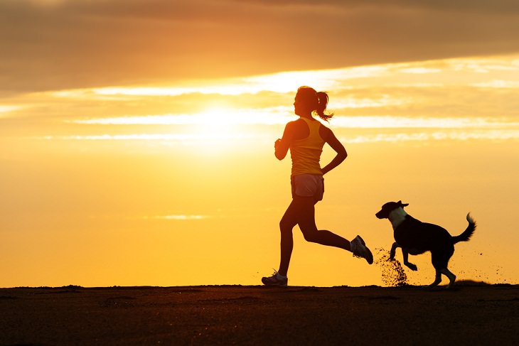 Running With Your Dog, speed cues