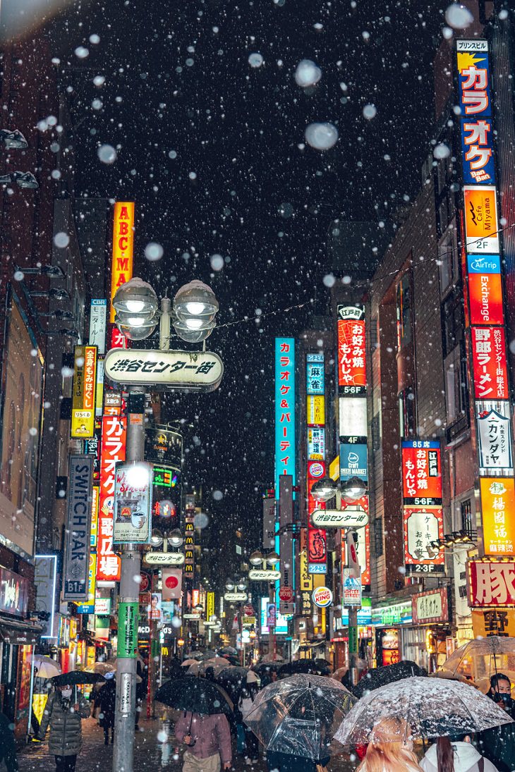 Snow-Blanketed Tokyo, 