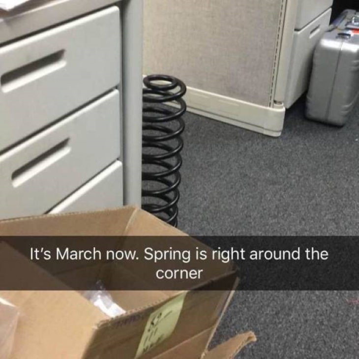 Workplace Humor spring