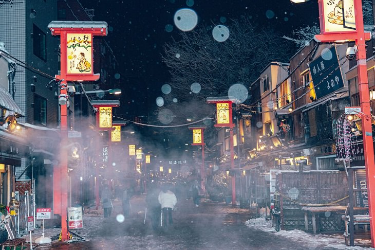 Snow-Blanketed Tokyo, Asakusa